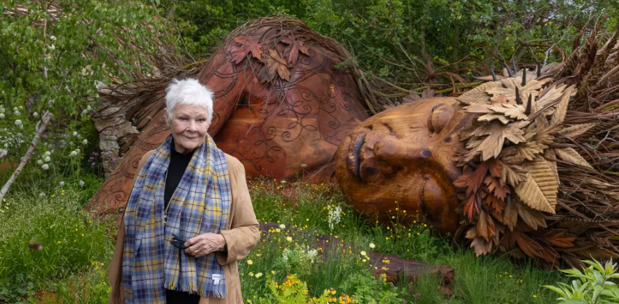Judi Dench, 91, discloses the tragic reason she is no longer able to perform. Judi Dench, 91, discloses the tragic reason she is no longer able to perform.